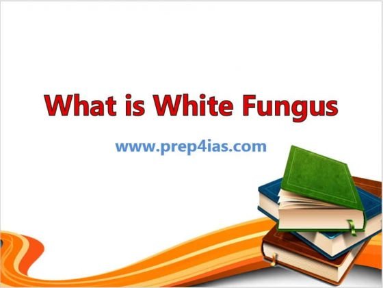 What is White Fungus ? Why is it more Deadlier than Black Fungus ? 7