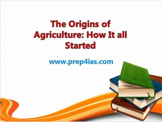 The Origins of Agriculture: How It all Started 8