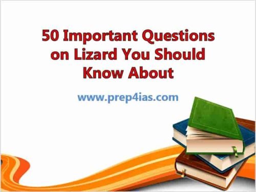 50 Important Questions on Lizard You Should Know About 2